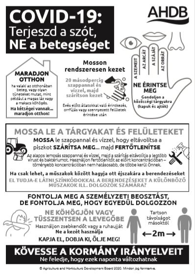 Coronavirus COVID-19 poster in Hungarian